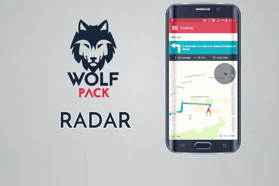 wolfpack application 4