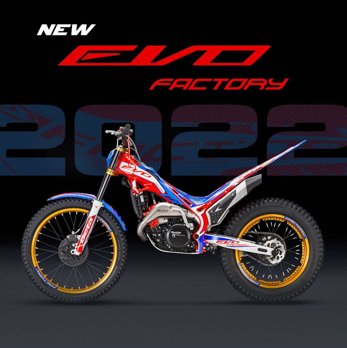 Beta EVO factory 2022