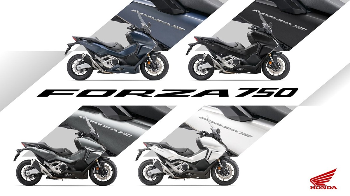 411091 The X ADV NC750X Forza 750 and NT1100 receive contemporary new colours for