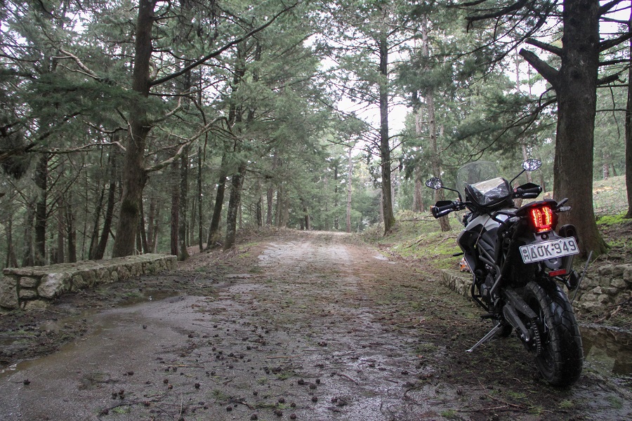 triumph tiger 800 xcx ambience 16